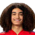 https://img.lymfjjd.cn/img/football/player/87359ed9061cfd73513d827263deebcd.png